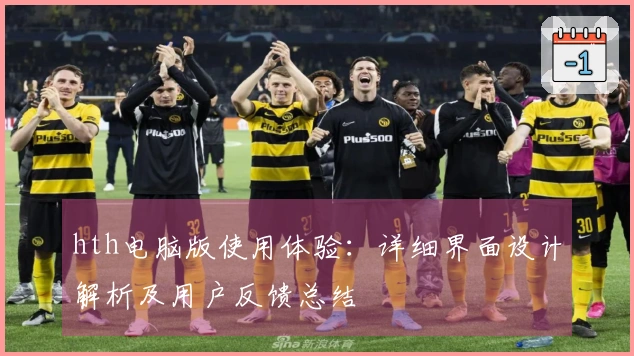 hth电脑版使用体验:详细界面设计解析及用户反馈总结